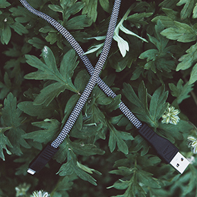 Neve lightning cable over leaves